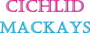 Cichlid Mackays