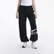 Брюки жіночі Nike W Nsw Air Mr Flc Jogger (FN1902-010) FN1902-010-XS фото 1