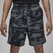 Шорти чоловічі Jordan Printed (FV7237-068) FV7237-068 фото 1