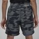 Шорти чоловічі Jordan Printed (FV7237-068) FV7237-068 фото 2