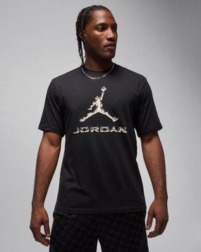 Футболка чоловіча Jordan Dri-Fit (HQ9091-010) HQ9091-010 фото