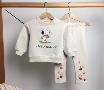 Утепленный трикотажный свитшот "Snoopy" с легкой махровой нитью, Robinzone КФ-884/885/918 9957298 фото