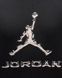 Футболка чоловіча Jordan Dri-Fit (HQ9091-010) HQ9091-010 фото 4