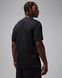 Футболка чоловіча Jordan Dri-Fit (HQ9091-010) HQ9091-010 фото 2