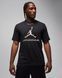 Футболка чоловіча Jordan Dri-Fit (HQ9091-010) HQ9091-010 фото 1