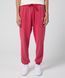 Брюки чоловічі Nike M J Ess Stmt Wash Flc (FB7298-619) FB7298-619 фото 1