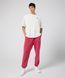 Брюки чоловічі Nike M J Ess Stmt Wash Flc (FB7298-619) FB7298-619 фото 4