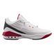 Кросівки чоловічі Jordan Max Aura 5 (DZ4353-160) DZ4353-160-46 фото 3