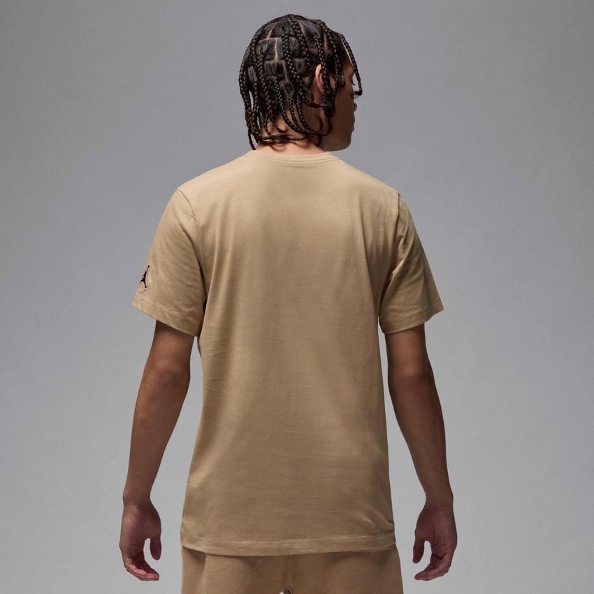 Футболка чоловіча Jordan Air T-Shirt (DM3182-257) DM3182-257 фото
